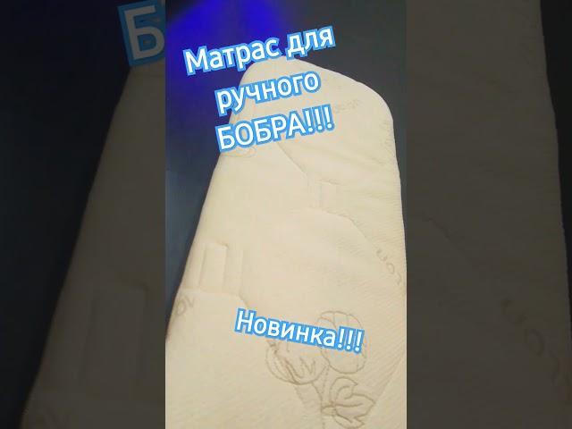 Матрас для бобра! Спальное место для домашних животных! #diycrafts #diy #диван #ремонт #синтепон