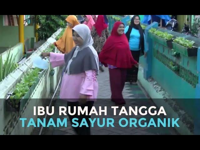 Mantap! Ibu-Ibu PKK Tanam Sayur Organik