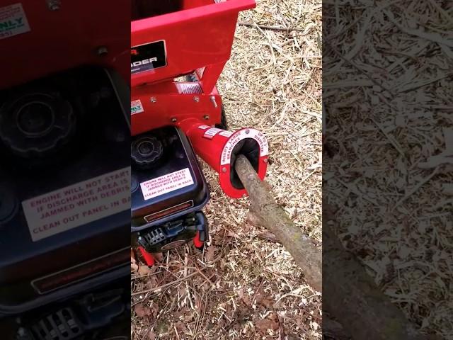 OMG, Harbor Freight Wood Chipper!