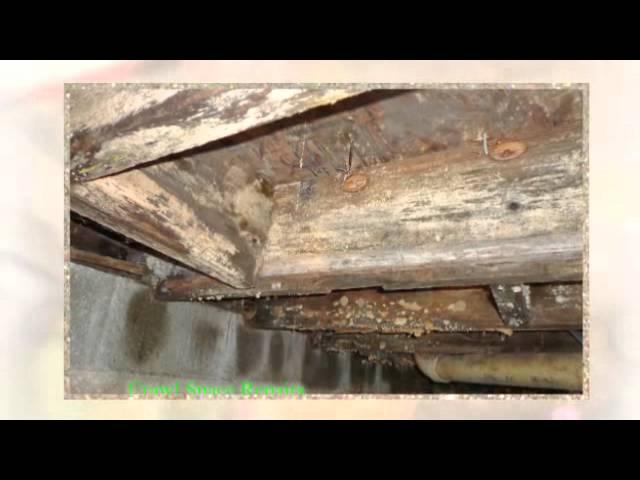 Best Structural Repair in Seminole County | Orange County Florida