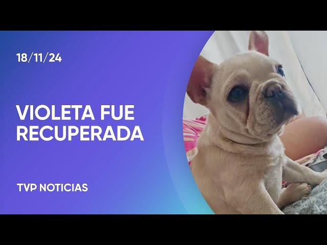 Robaron una camioneta y se llevaron a la perrita de la familia