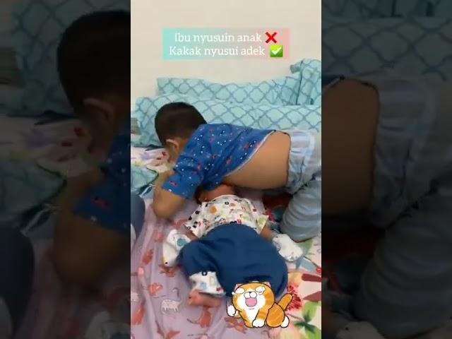 ASI dari KAKAK untuk ADIK #shorts