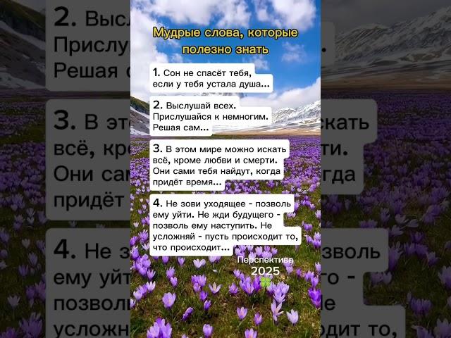 Мудрые слова, которые полезно знать
