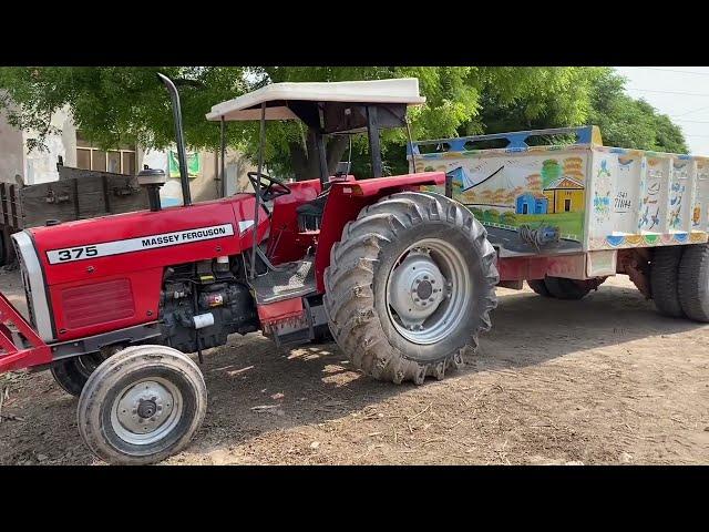 Mashaallah wheat Harvesting Choudhary farm chiniot