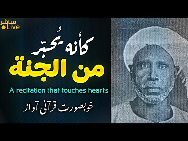 أروع ما قد تسمعه أذناك !  صوت عجيب وأداء فريد  الشيخ سعيد نور |  Wonderful Quranic voice