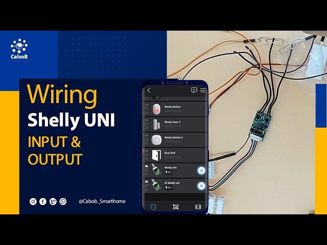 Shelly UNI Output and Input Wiring