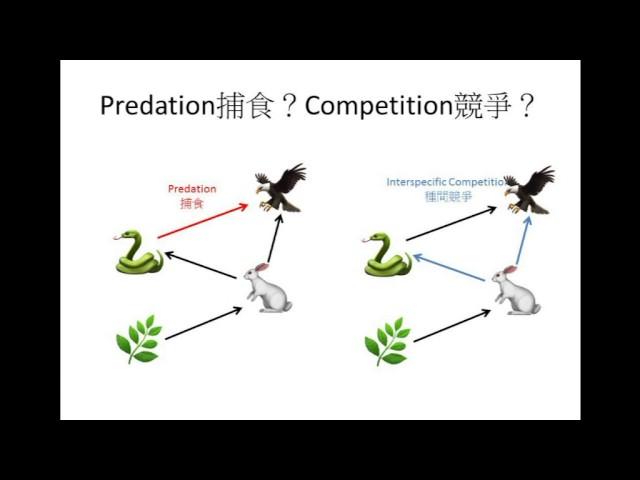 DSE Bio 食物網與生態平衡 Food web and ecological balance-Ecology 生態學 7