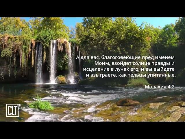 Исцеление,словами Писания!! Верь, провозглашай!