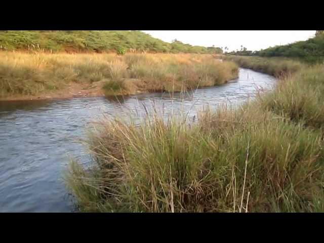 A stream near Talamanchi - Part 3/3