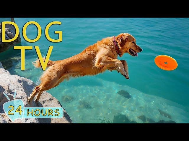 DOG TV for Dogs to Watch: Video Prevent Anxiety & Boredom for Dogs - Best Collection Music for Dogs