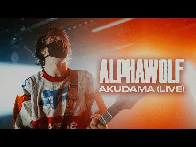 Alpha Wolf - Akudama (Live in Paris)