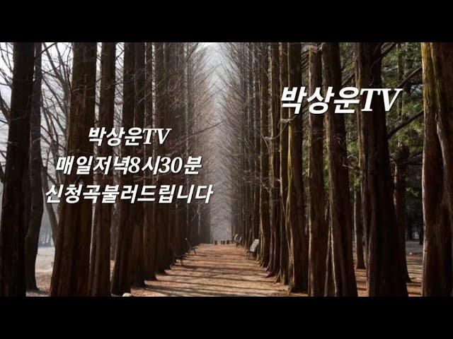 박상운TV라이브2024년 11월 13일 #휘파람 #노고지리 #신청곡불러드립니다