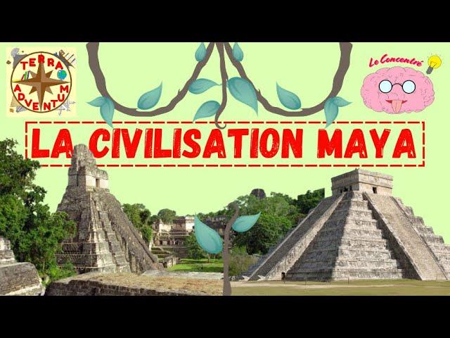 La civilisation MAYA [Le Concentré #19]