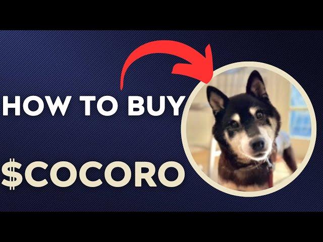 How To BUY $COCORO – COCORO TOKEN CRYPTO COIN IN 60 SECONDS