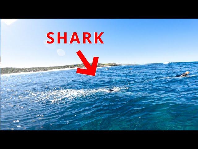 Surfing Perfect Rottnest Island Turns Into A Disaster