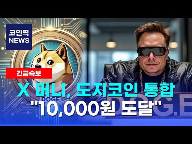 [도지코인+시바이누] 일론 머스크의 X 머니, 도지코인 통합! 지금 안사면 2025년 말 10,000원 도달할때 후회한다!