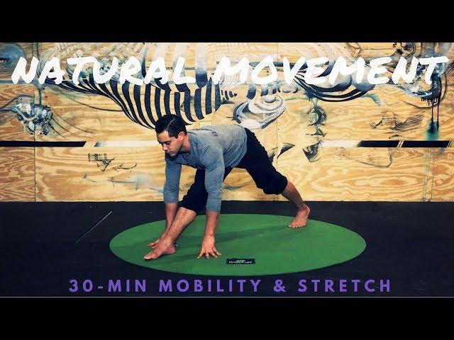 Stay Loose: Natural Movements for Mobility & Stretching