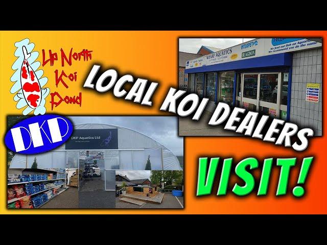 Visiting Two Local Koi Dealers - DKP & Wharf Aquatics