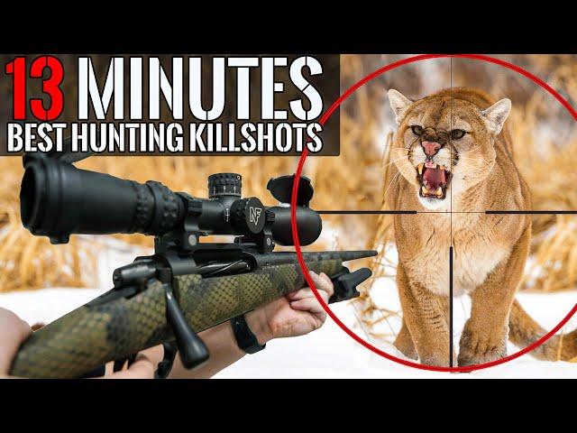 BEST HUNTING KILL SHOTS in 13 MINUTES