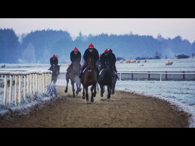 Jockey Mark Enright on how he overcame depression