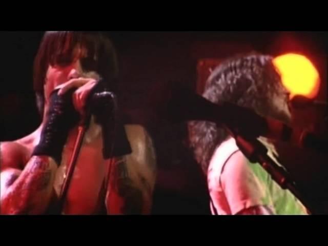 Red Hot Chili Peppers - Universally Speaking - Live at Olympia, Paris