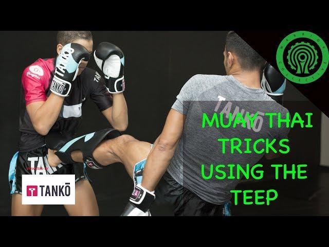 Muay Thai Tricks using the Teep in Sparring / Fighting Tutorial