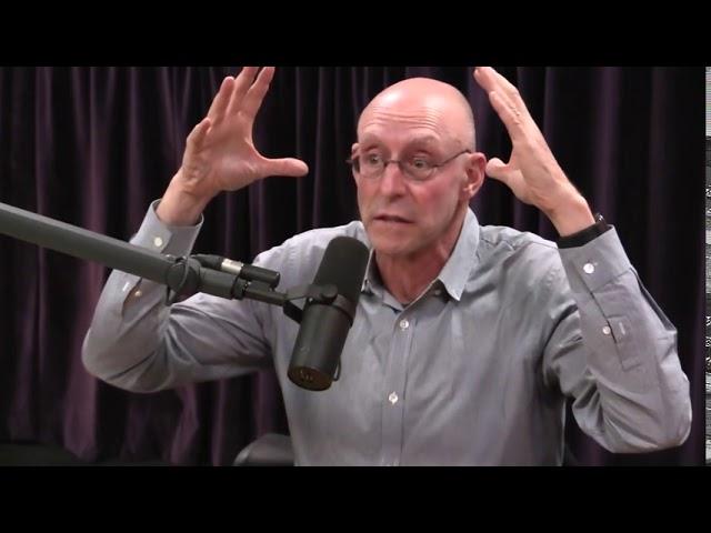 Ego and the default mode network
