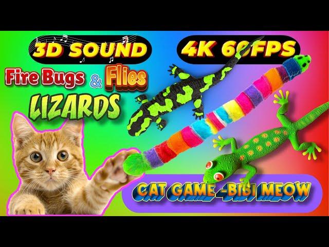 CAT GAMES TOM TV & BiBi | Ultimate Compilation Catching The LIZARDS , Flies, FireBugs11 HOURVol 52