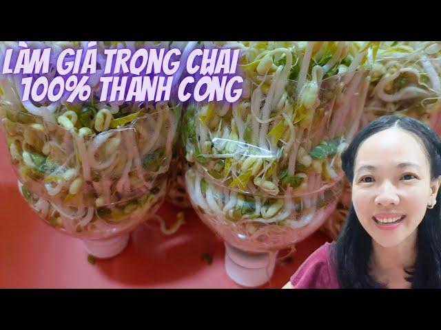 Làm giá bằng chai nhựa, không lót giấy, không giặt khăn.Thu hoạch sau 2 ngày - Ngocmo family 0044