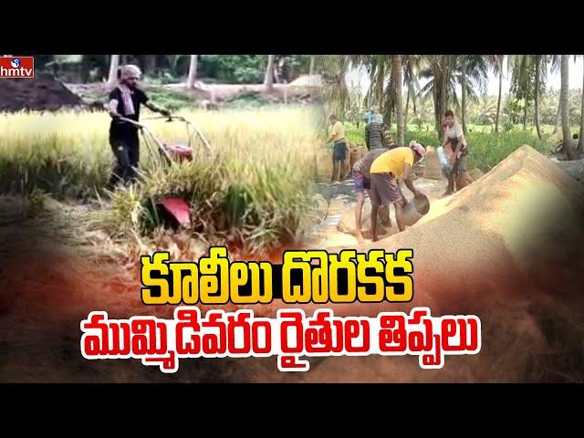 కూలీలు దొరకక ముమ్మిడివరం రైతుల తిప్పలు | Mummidivaram Farmers | hmtv