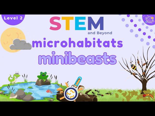 Microhabitats | KS1 Year 2 Science | STEM Home Learning