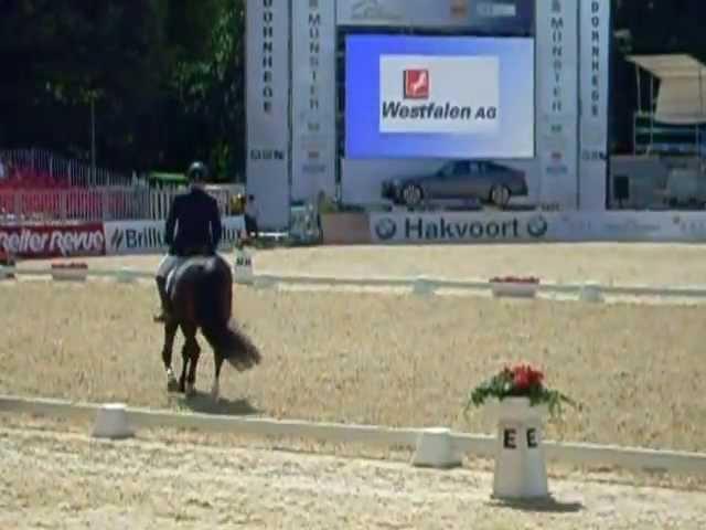 Turnier der Sieger 2013 - Westfalenwappen, Sieger bei den 3jährigen EQUITARIS