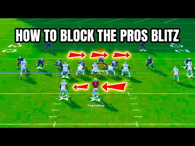 The 33 Cub Blitz is Back! Block It With This Tip!