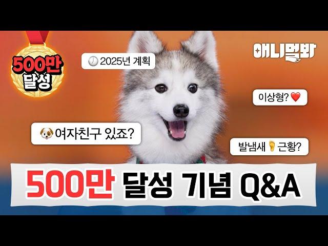 ＂간다간다 500만 간다＂ 구독자 500만 기념 무엇이든(?) 알려드립니다! | SBS 뉴스멀봐(2025.01.10) 5M Subs Celebration QnA