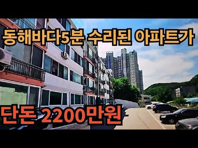 동해바다5분 수리된 아파트가 단돈 2200만원