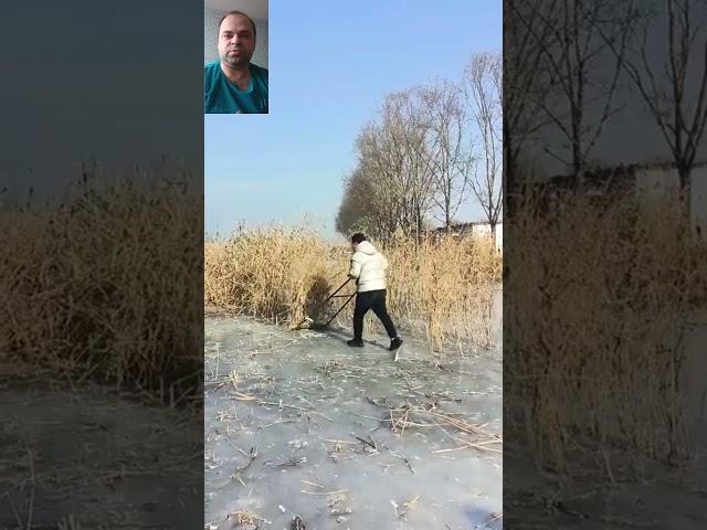 shorts зачем он это делает ?