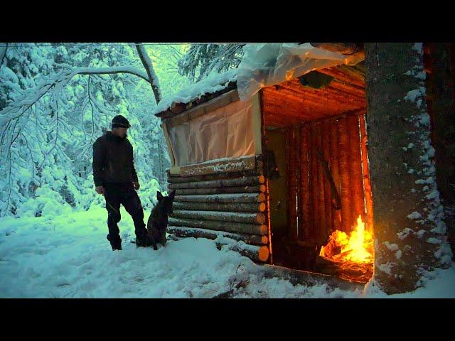 WINTER CAMPING THROUGH A BLIZZARD AT THE FORT IN THE WOODS WITH A DOG. Can we Stay Dry and Warm?