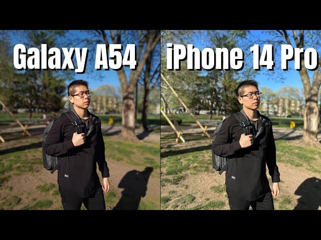 Samsung Galaxy A54 vs iPhone 14 Pro Camera Comparison