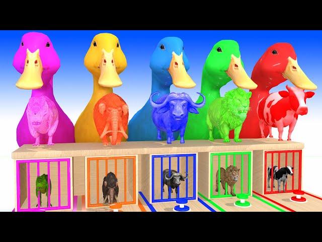 Paint Animals cow lion dinosaur elephant bear checken leopard hippo dog cat - Paint Color #part35