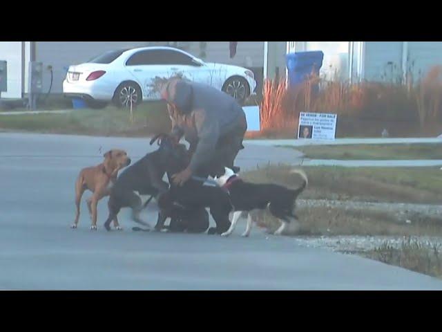 KPRC 2 witnesses vicious dog attacks during report in Liberty County