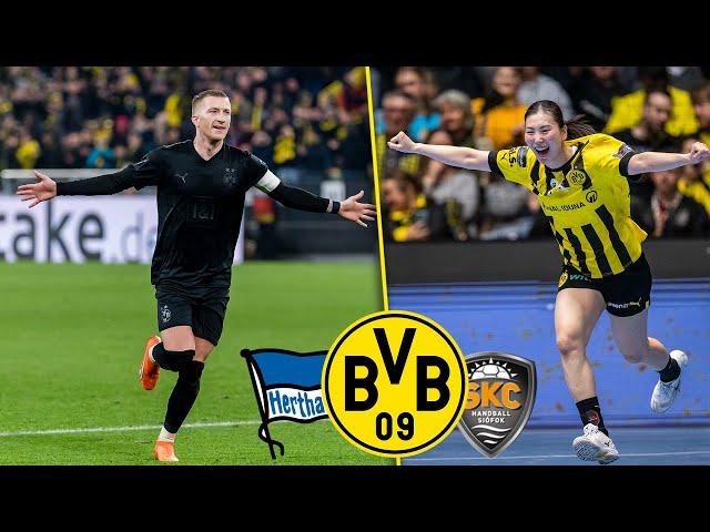 Successful black-yellow double matchday! | BVB - Siofok KC 26-23 & BVB - Hertha Berlin 4-1