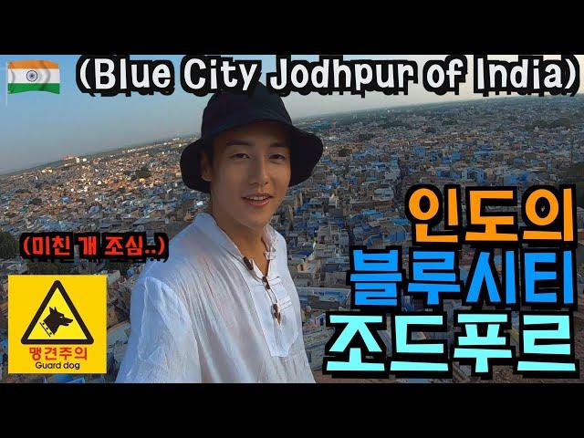 [travel the world]EP.20 Blue City Jodhpur of India (Beware of dogs)