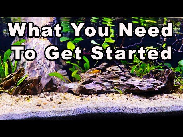 Beginners Guide to The Aquarium Hobby Part 2: Everything You Need to Start an Aquarium!