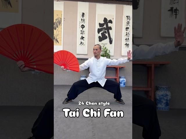 24 Chen style tai chi fan #taichi #martialarts #taijiquan #taiji #kungfu #wushu