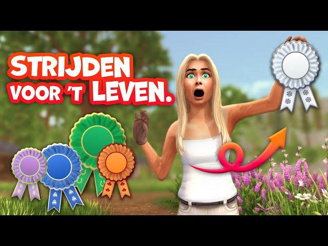 STRIJDEN TIJDENS MEGA VEEL CHAMPS VOOR LINTEN ! | Starstable Let's Race | Riley Macstreet (NL)