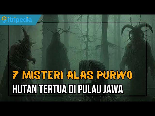 Mengunkap 7 Misteri Alas Purwo yang Menyeramkan