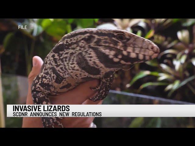 Invasive lizard species banned from South Carolina