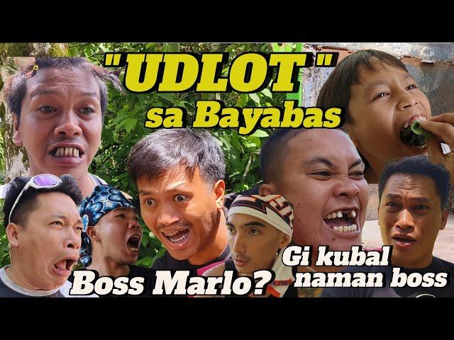 Udlot sa bayabas