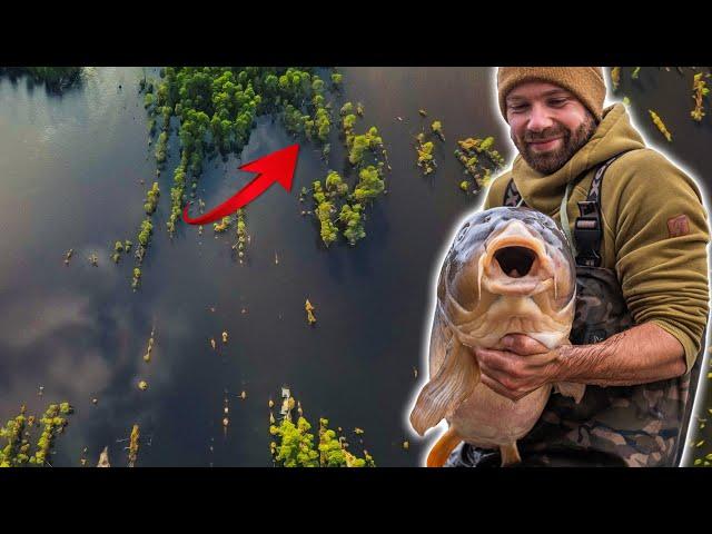 Hook & Hold EXTREME 🪵 am Rainbow Lake | Karpfenangeln mit Brocke