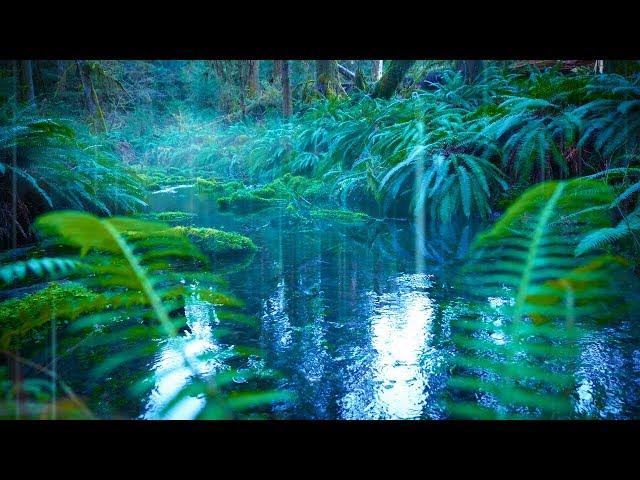 Rain Sounds for Sleeping 10 Hours + Water Sounds White Noise